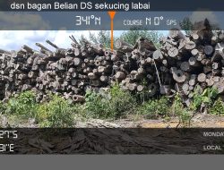 Keji! PT MP Pada Warga Pemilik Lahan Tidak di Bayar Malah Kubur Puluhan Ribu Balok Kayu Dalam Tanah