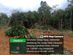 PT SMS Mukti Plantation: Diduga Kebal Hukum, Lahan Warga Desa Mensubang Terus Digusur!