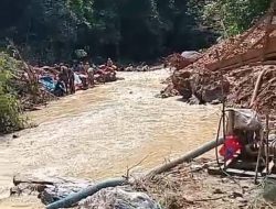 Kebal Hukum? Tambang Emas Ilegal di Solok Marak Pascalebaran, Alat Berat Hilir Mudik di Hutan, Aparat Tutup Mata!