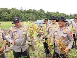 Kapolda Kalbar Tinjau Panen Perdana Kacang Kedelai di Sanggau: Wujud Nyata Dukungan Polri Terhadap Ketahanan Pangan