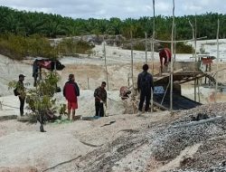 PETI di Desa Peniti Disokong Setoran dan Solar Subsidi, Penegak Hukum Diduga Tutup Mata!