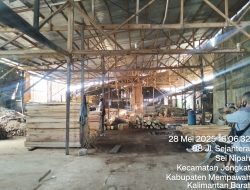 Dugaan Industri Peti Jeruk Ilegal di Mempawah: Tak Berizin, Cemari Lingkungan, Abaikan K3