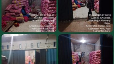 Diduga Bos Bawang Putih Impor Bungkam Aparat: Skandal Penyelundupan Terus Berlangsung di Kubu Raya