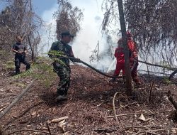 Babinsa koramil kapuas Bersama Instansi Terkait, Lakukan Pemadaman Api Dilahan Kosong Dekat Pemukiman Warga Wilayah sabang merah