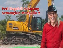 Pengamat: Kredit Alat Berat Disebut Terlibat Skema Dugaan Kejahatan Terorganisir PETI!