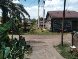 Aliran Listrik PLN Mulai Masuk Desa Permata–Betuah, Warga Sambut Antusias