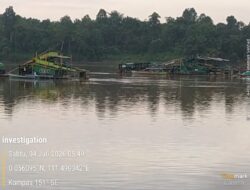 PETI Diduga Bebas Beroperasi di Jantung Kota Sintang, Ke Mana Ketegasan Aparat Penegak Hukum