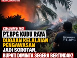 Kebakaran di Area PT BPG Kubu Raya, Dugaan Kelalaian Pengawasan Jadi Sorotan, Bupati Diminta Segera Bertindak