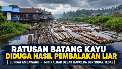 MHI Kalbar Minta Asal-usul Kayu Diusut, Jalur Distribusi Ditelusuri, dan Sawmill yang Diduga Menampung Kayu Ilegal Diperiksa